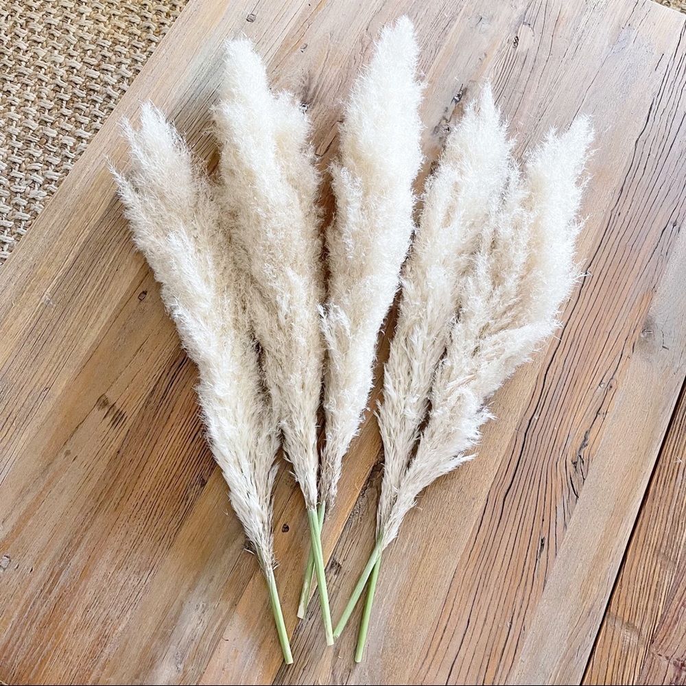Cream Dried Pampas Grass Bohemian Floral 5 Stems